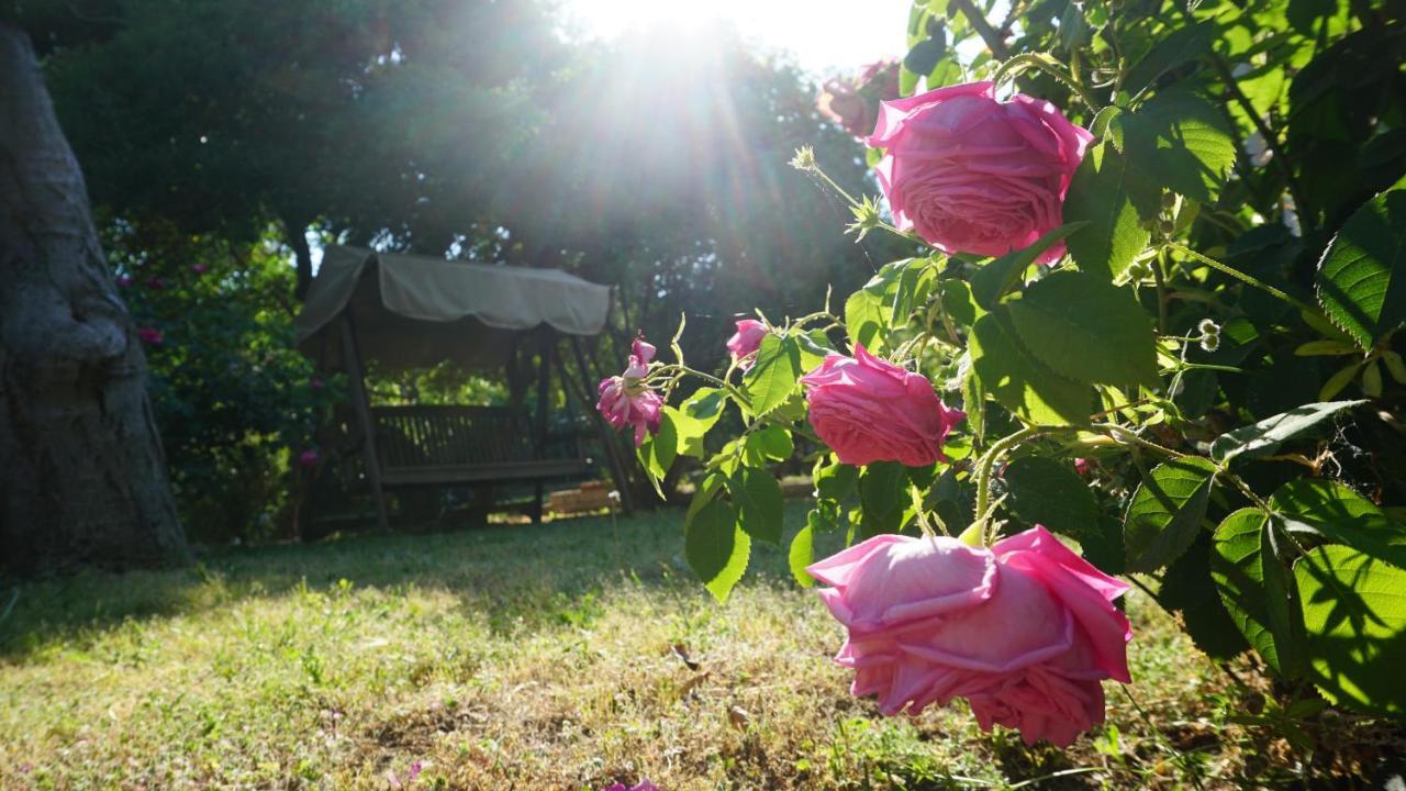 Kavet Palio Cottage Palaiontsiflikion Luaran gambar