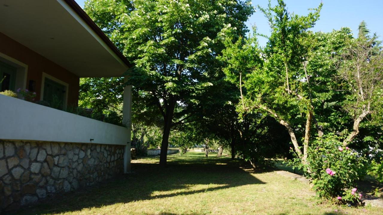Kavet Palio Cottage Palaiontsiflikion Luaran gambar