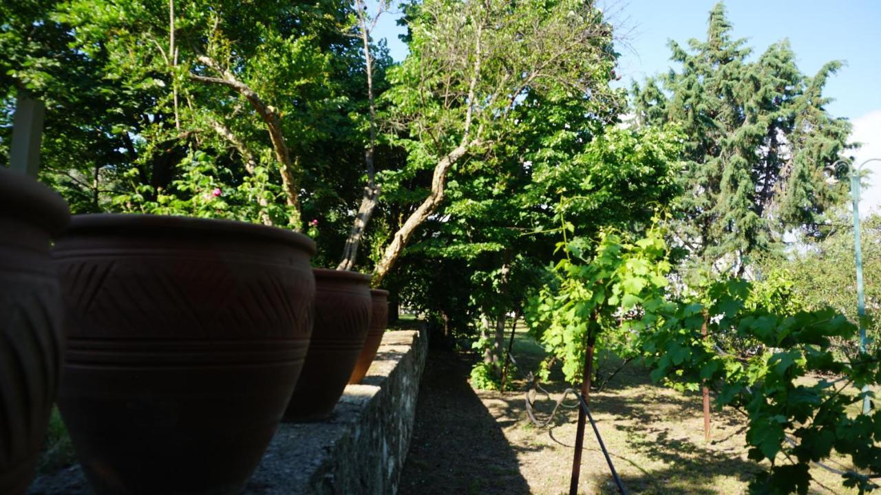 Kavet Palio Cottage Palaiontsiflikion Luaran gambar